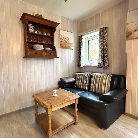 Austernfischer Nebel