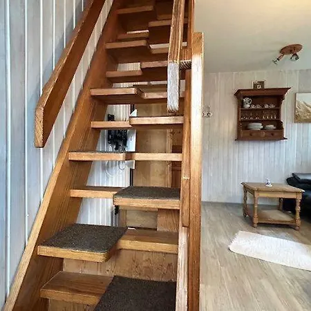 Austernfischer * Nebel