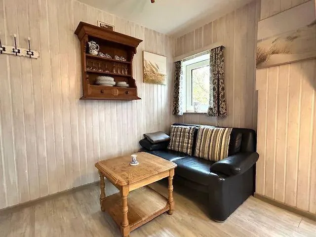 Austernfischer Nebel