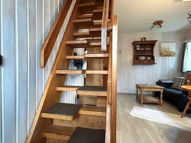 Austernfischer * Nebel