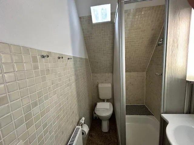 Austernfischer * Nebel